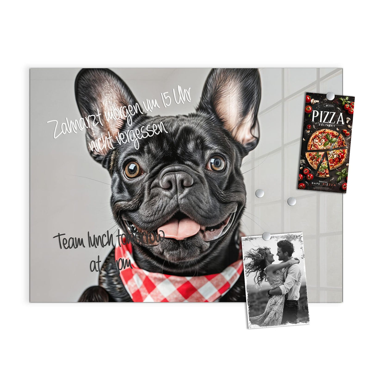Beschreiben, abwischen, anheften – Glas Magnettafel - Bulldogge mit Halstuch