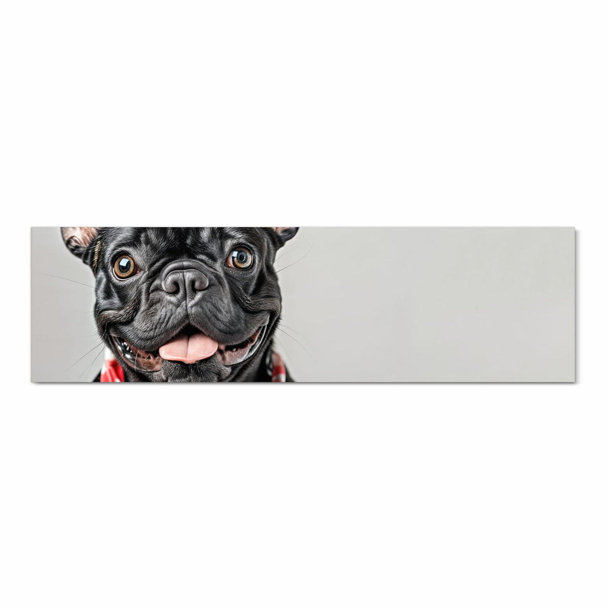 Schwarze Französische Bulldogge mit rot-weiß kariertem Halstuch, Pfoten auf weißer Kante