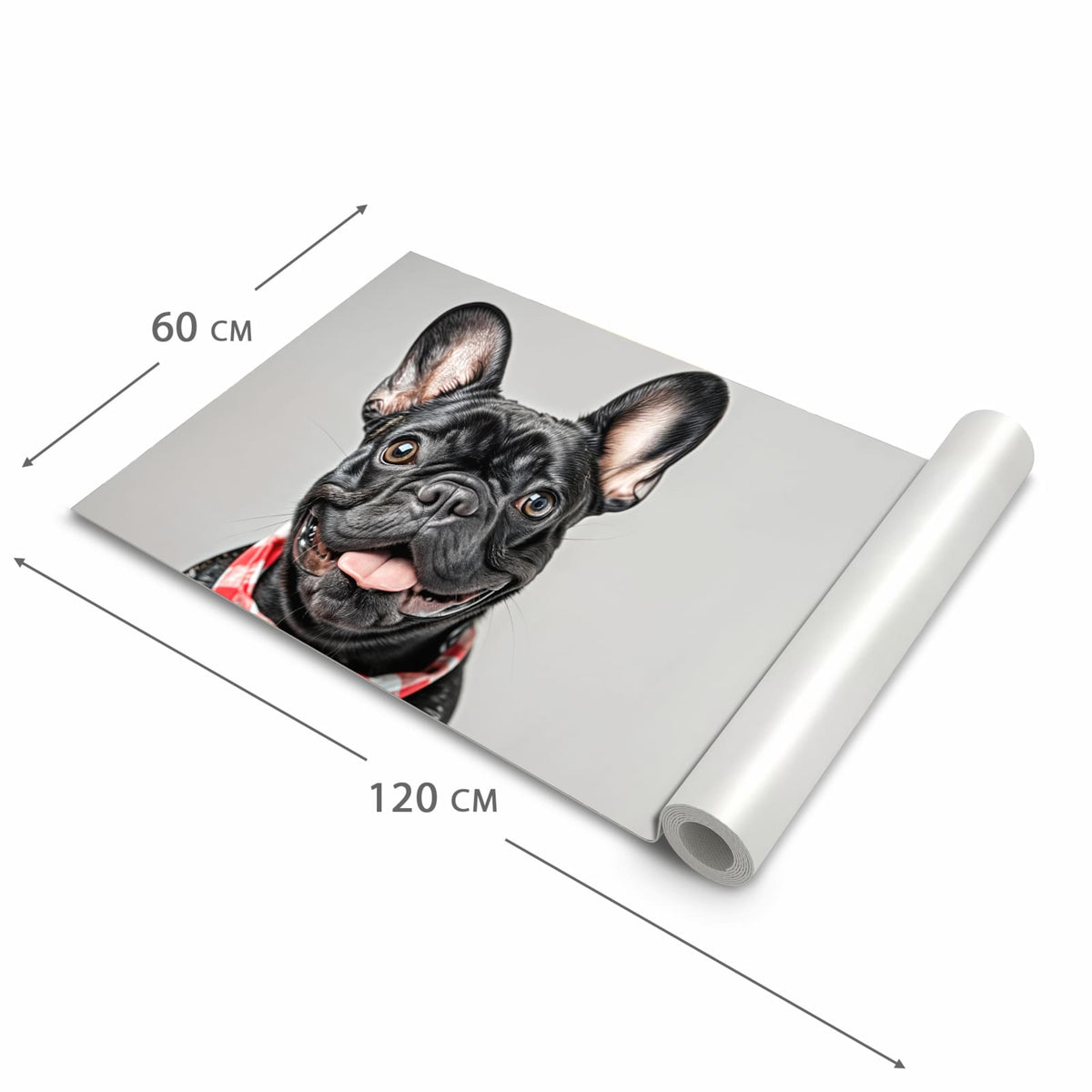 Küchenläufer Bulldogge mit Halstuch zusammengerollt