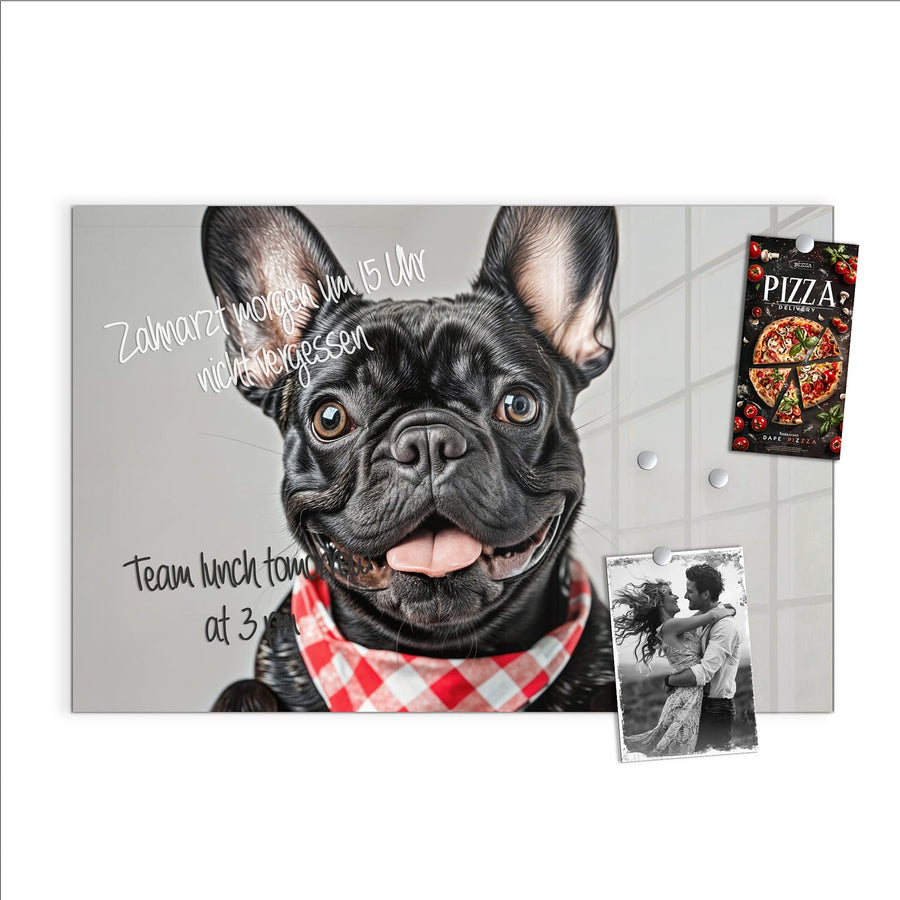 Maße Glas Magnettafel - Bulldogge mit Halstuch