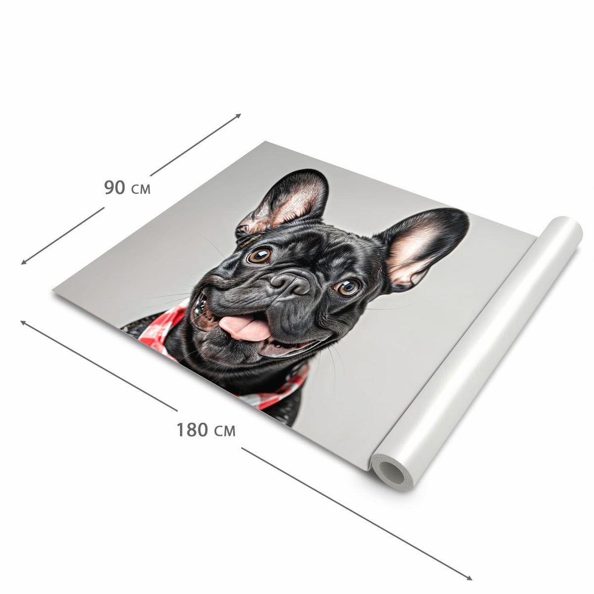 Küchenläufer Bulldogge mit Halstuch zusammengerollt