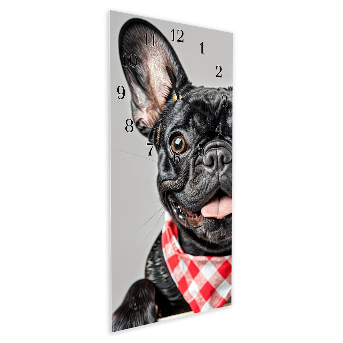 Vormontiert – mit Schwebeeffekt – Wanduhr Bulldogge Französisch aus Glas – Hochformat 30 × 60 cm