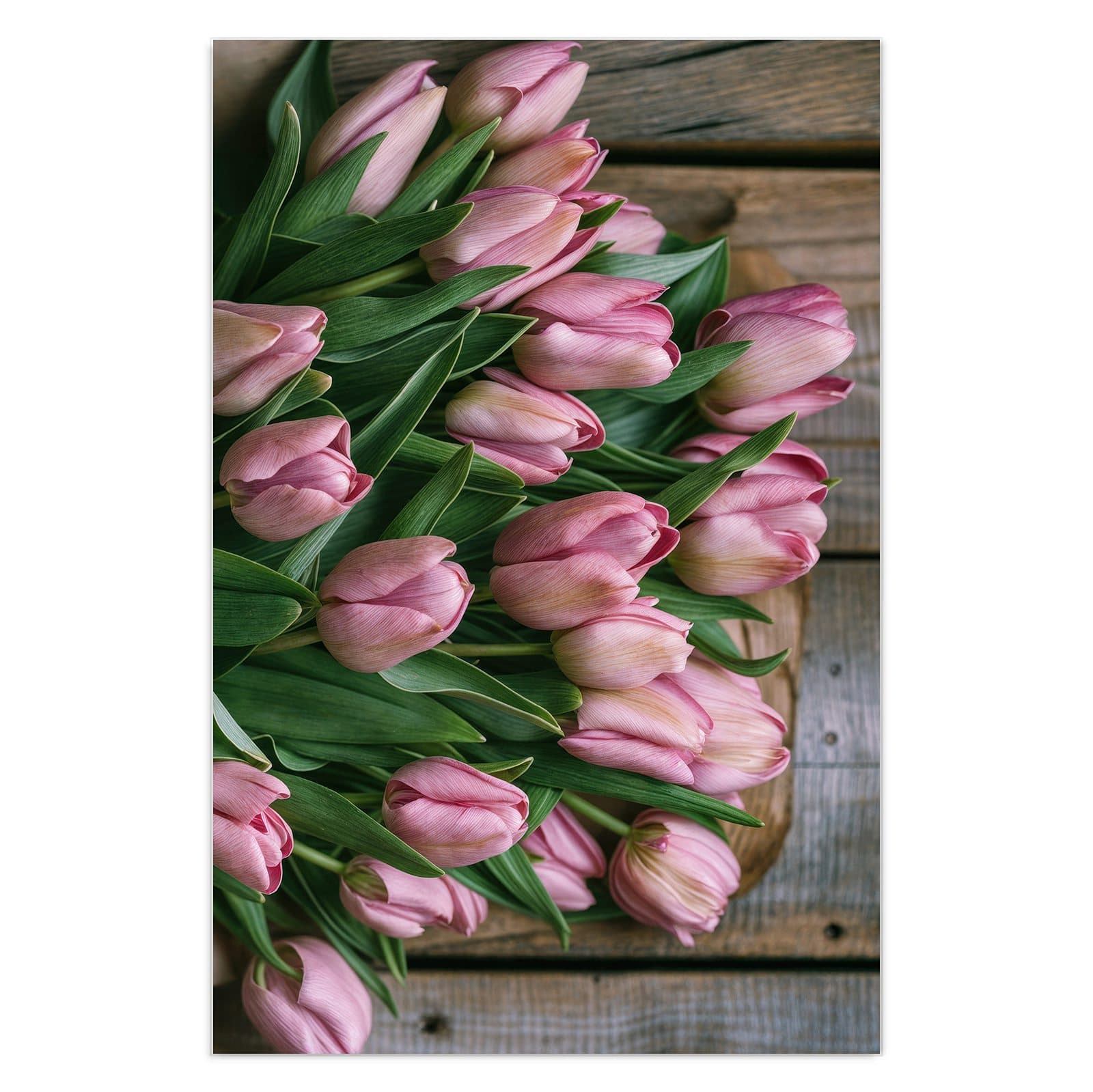 #grösse_40 x 60 cm #grösse_50 x 75 cm #grösse_60 x 90 cm