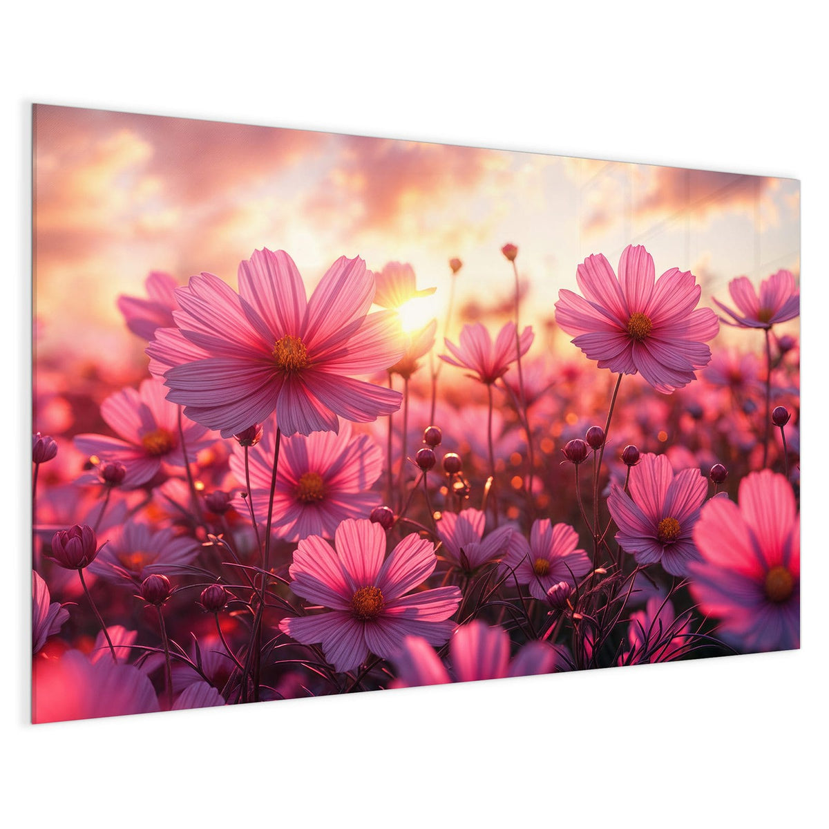 4 mm Glas statt lackiertem Blech – Magnettafel - Cosmeen im Abendlicht