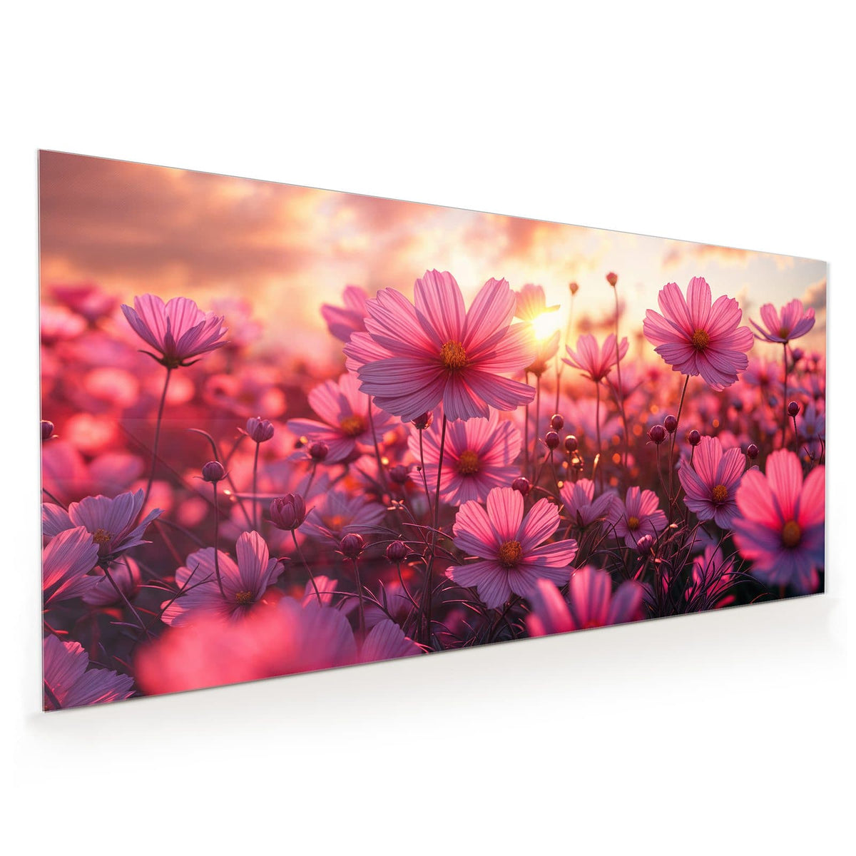 Rosa Cosmeen vor einem Sonnenuntergangshimmel mit Wolken.