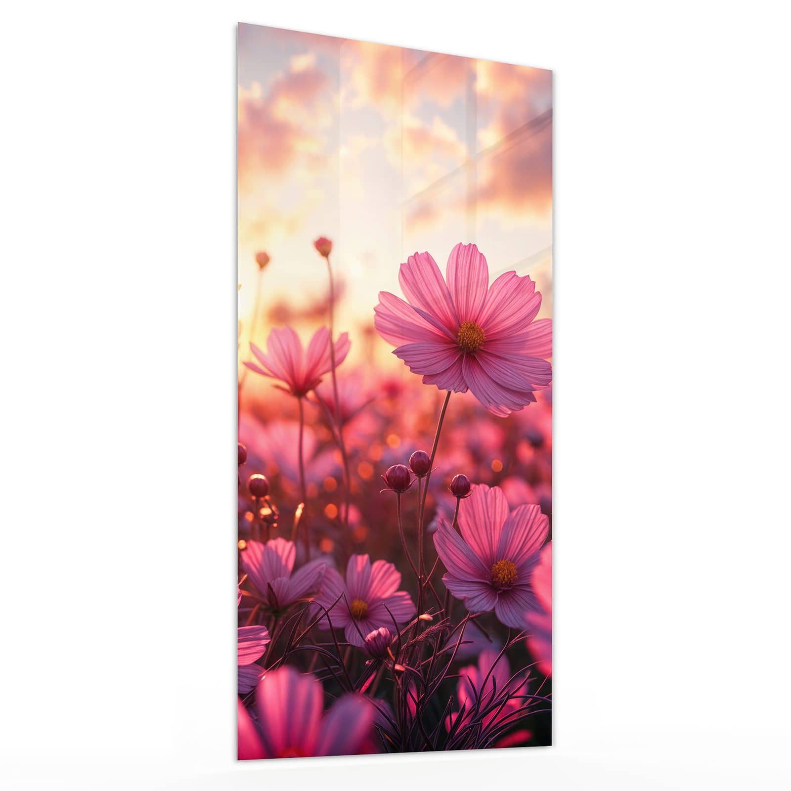 #grösse_30 x 60 cm #grösse_40 x 80 cm #grösse_50 x 100 cm #grösse_55 x 110 cm #grösse_60 x 120 cm