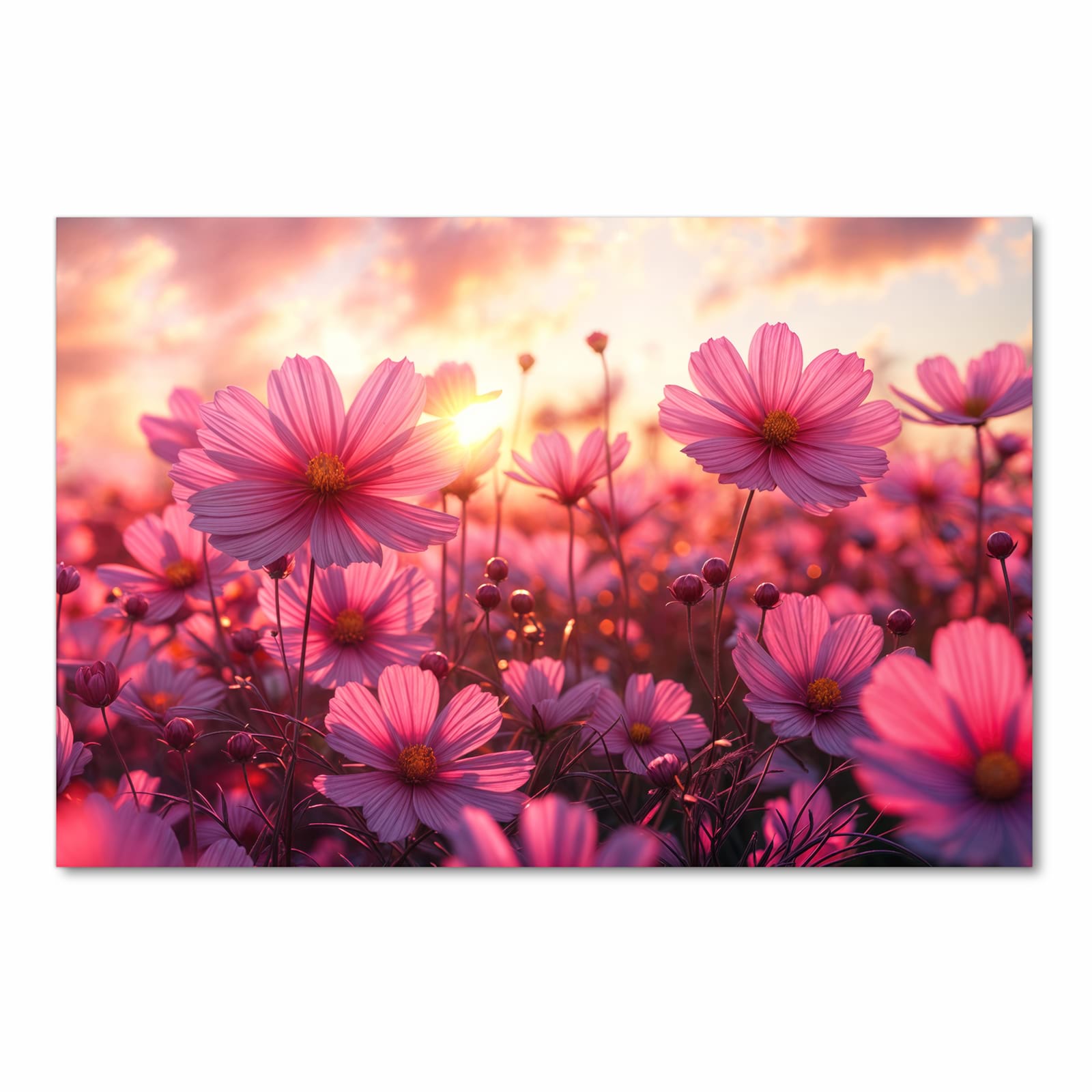 Zeitsparender waschbarer Küchenteppich mit Motiv Blumenfeld Sonnenuntergang in Frontansicht