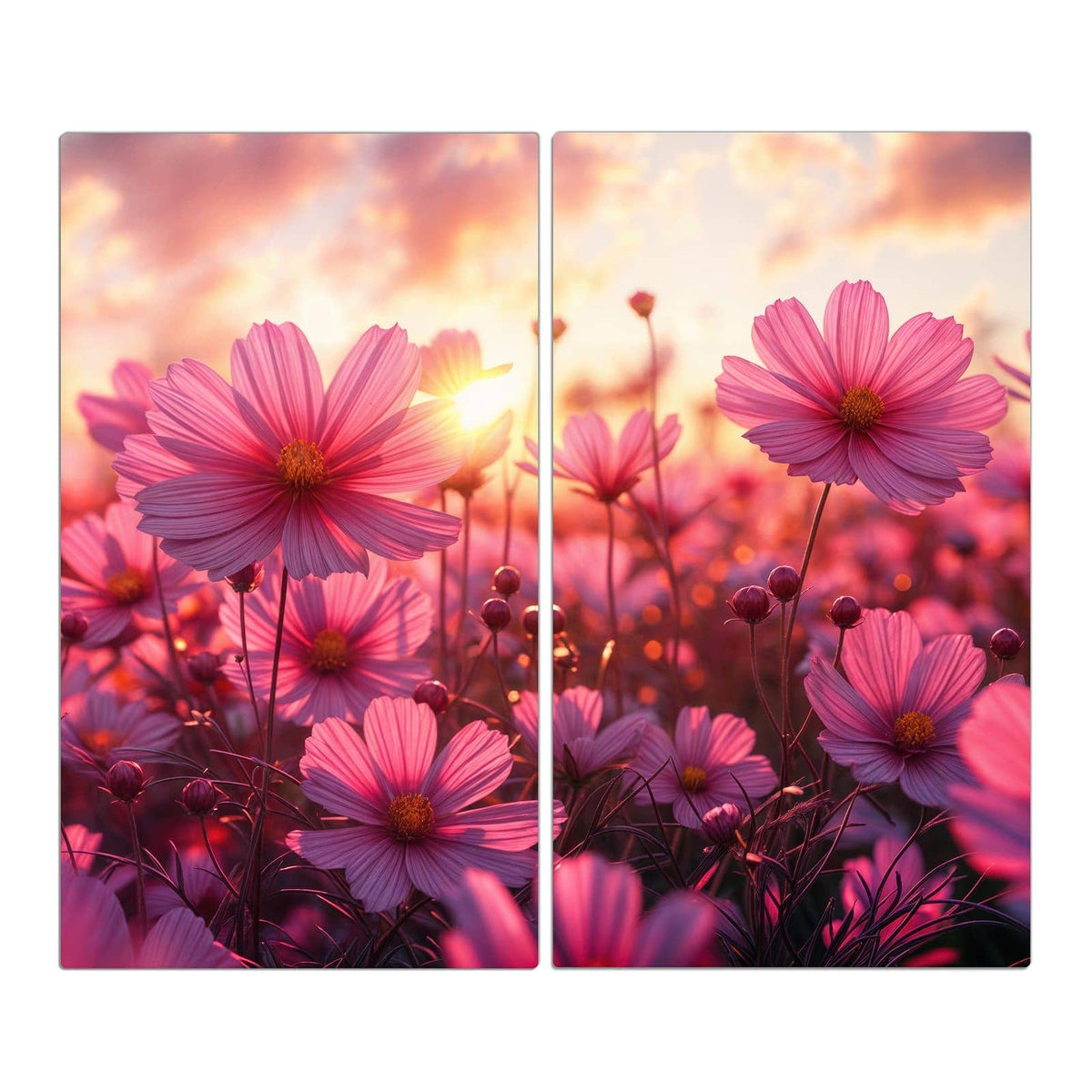 Rosa Cosmeen vor einem Sonnenuntergangshimmel mit Wolken.