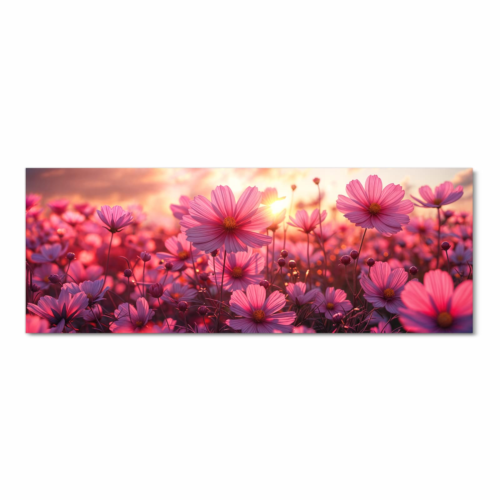 Waschbarer Küchenteppich mit Motiv Blumenfeld Sonnenuntergang in Frontansicht für Trittkomfort