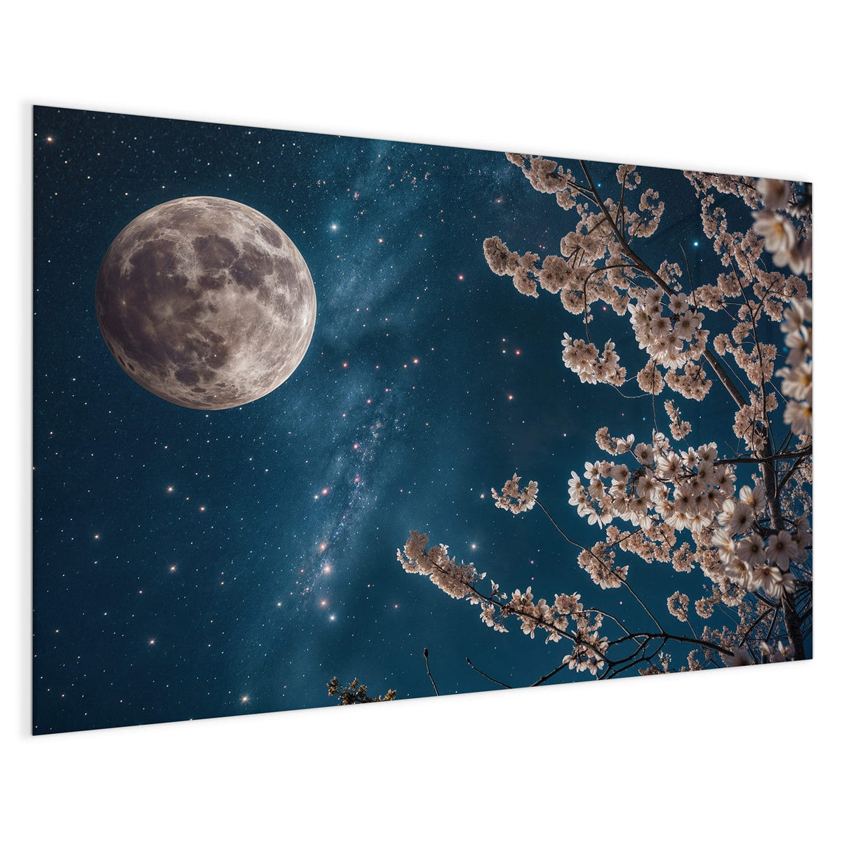 4 mm Glas statt lackiertem Blech – Magnettafel - Blüten unter Sternen