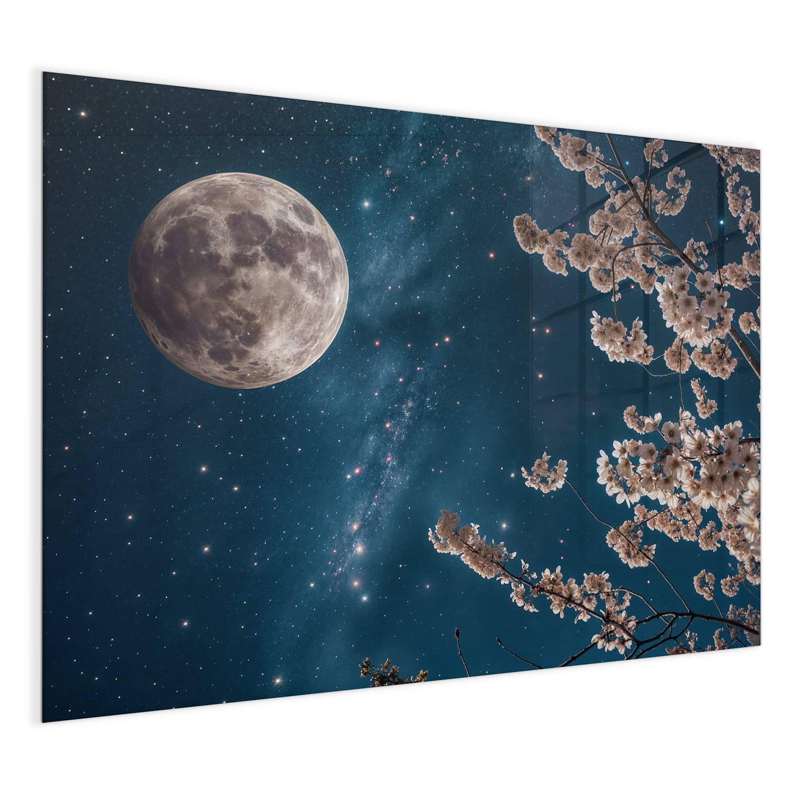 #grösse_120 x 90 cm