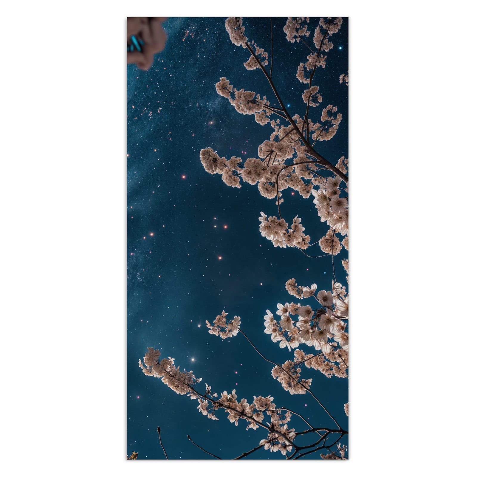 #grösse_30 x 60 cm #grösse_40 x 80 cm #grösse_50 x 100 cm #grösse_55 x 110 cm #grösse_60 x 120 cm