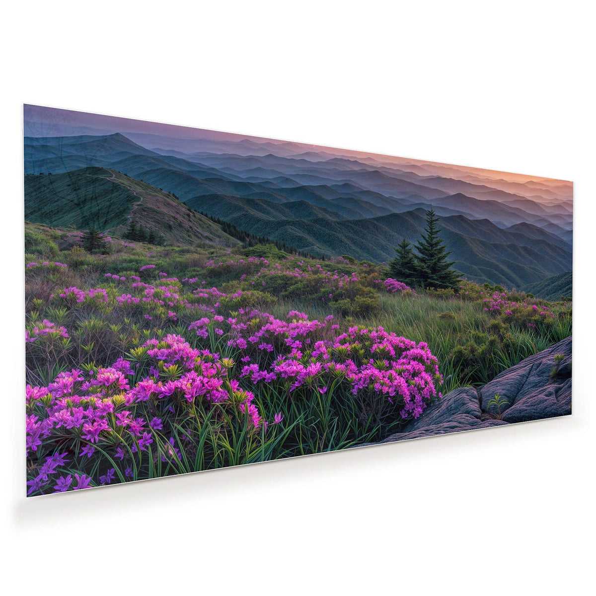 pinke Rhododendronblüten auf einem Bergrücken, dahinter gestaffelte Bergketten im Sonnenuntergang