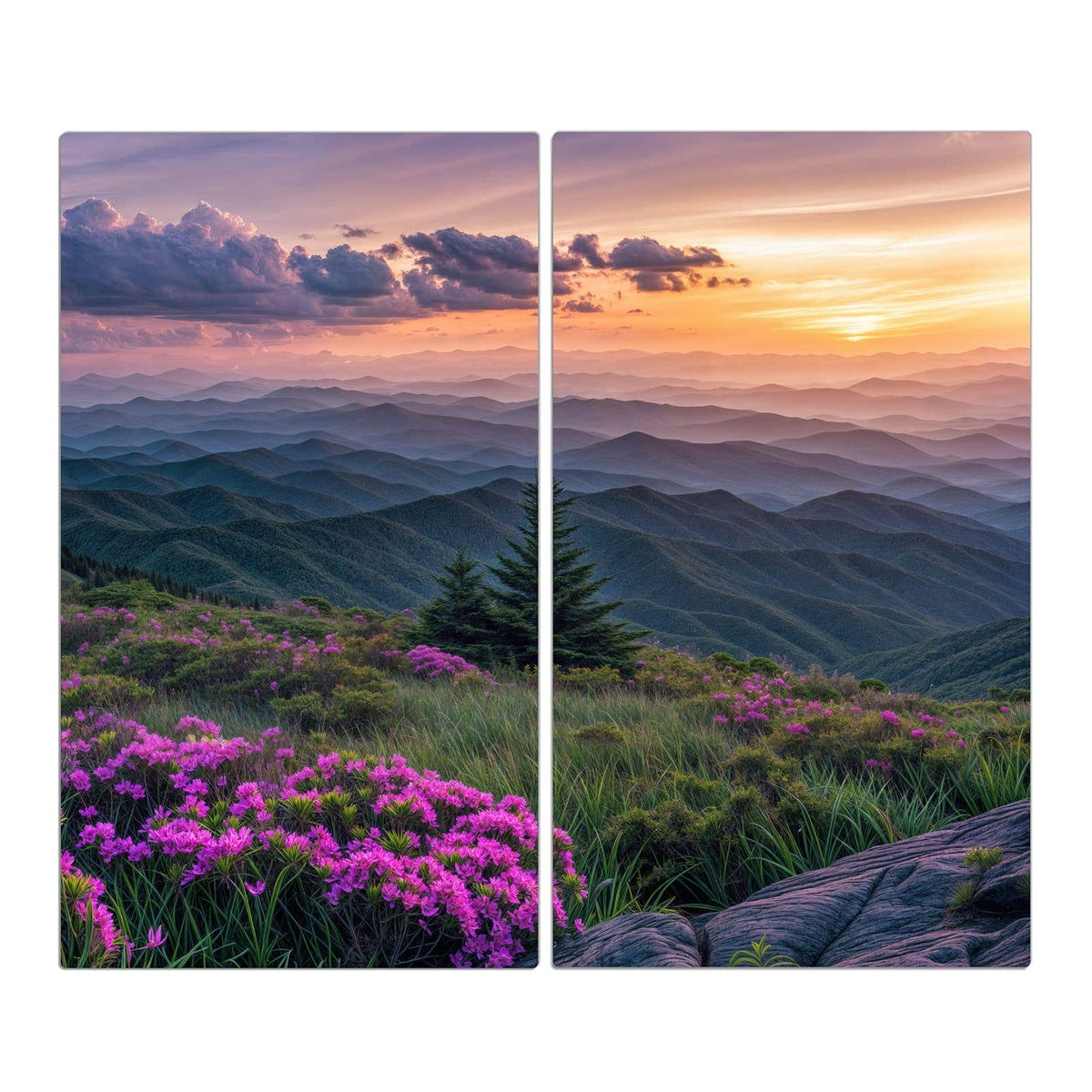 pinke Rhododendronblüten auf einem Bergrücken, dahinter gestaffelte Bergketten im Sonnenuntergang