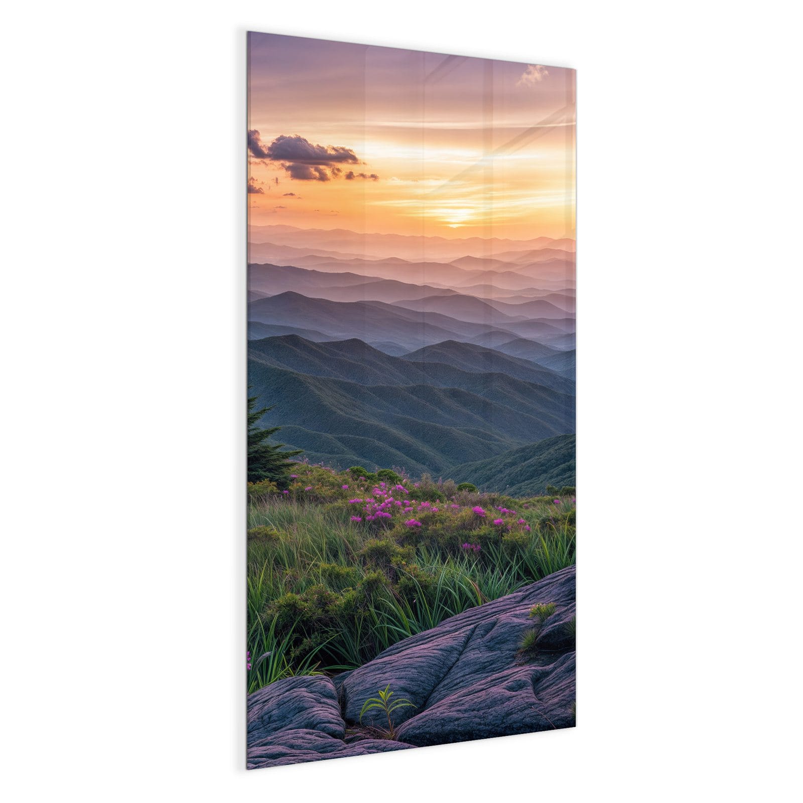 #grösse_50 x 100 cm