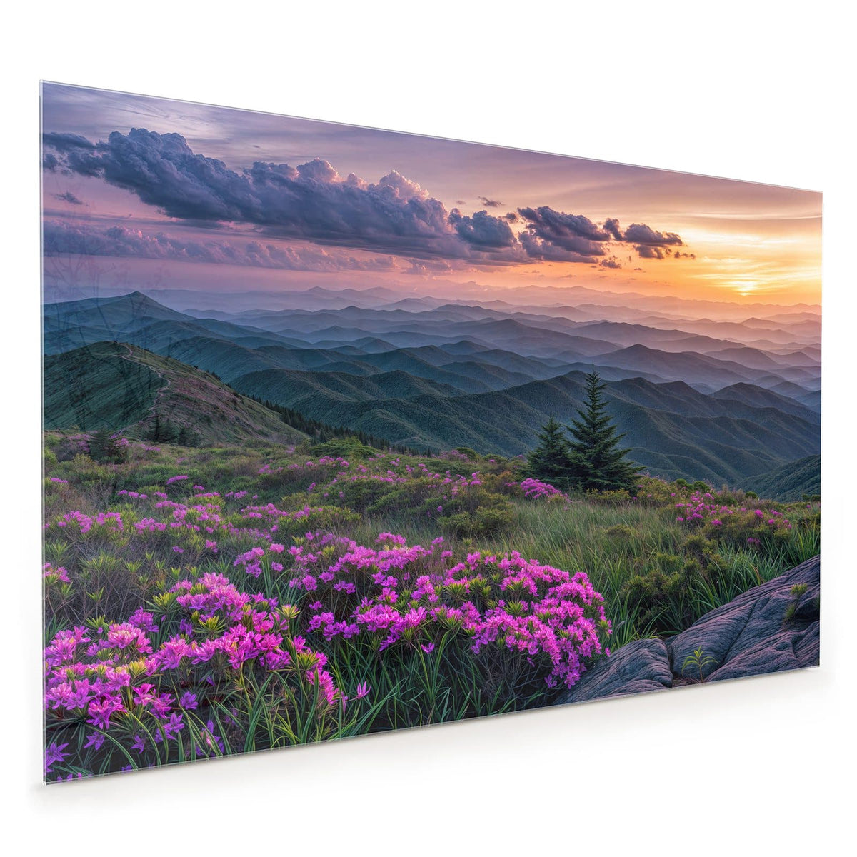 Küchenrückwand aus Glas im Hochformat mit Motiv Blüten vor Bergketten: Pinke Rhododendronblüten auf einem Bergrücken