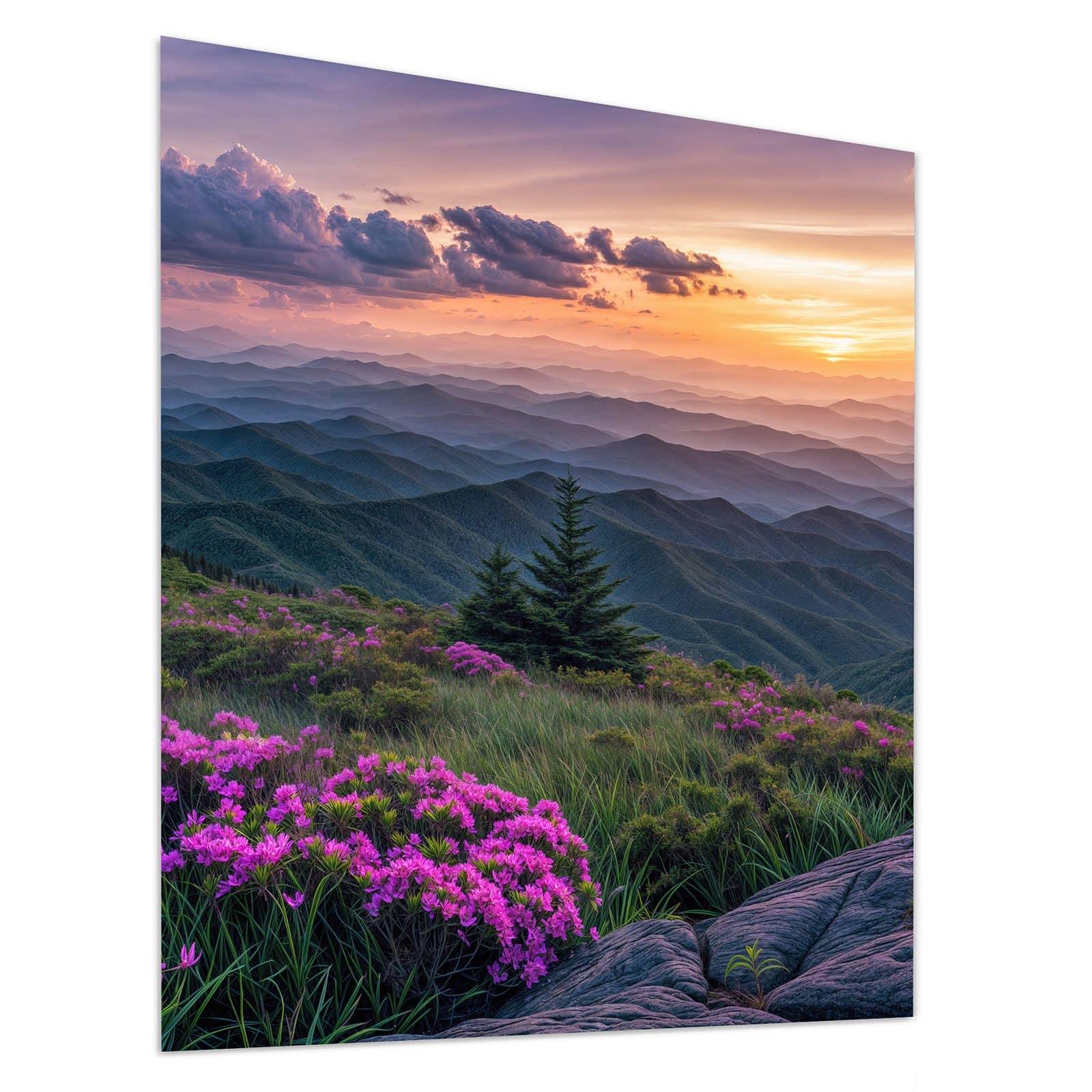 #grösse_90 x 100 cm