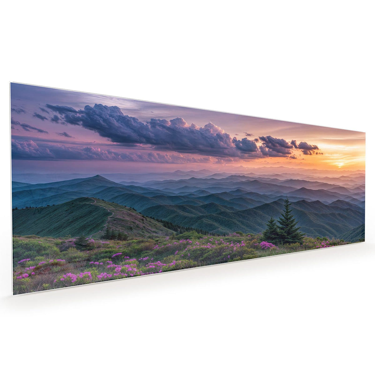 Küchenrückwand aus Glas im Hochformat mit Motiv Blüten vor Bergketten: Pinke Rhododendronblüten auf einem Bergrücken