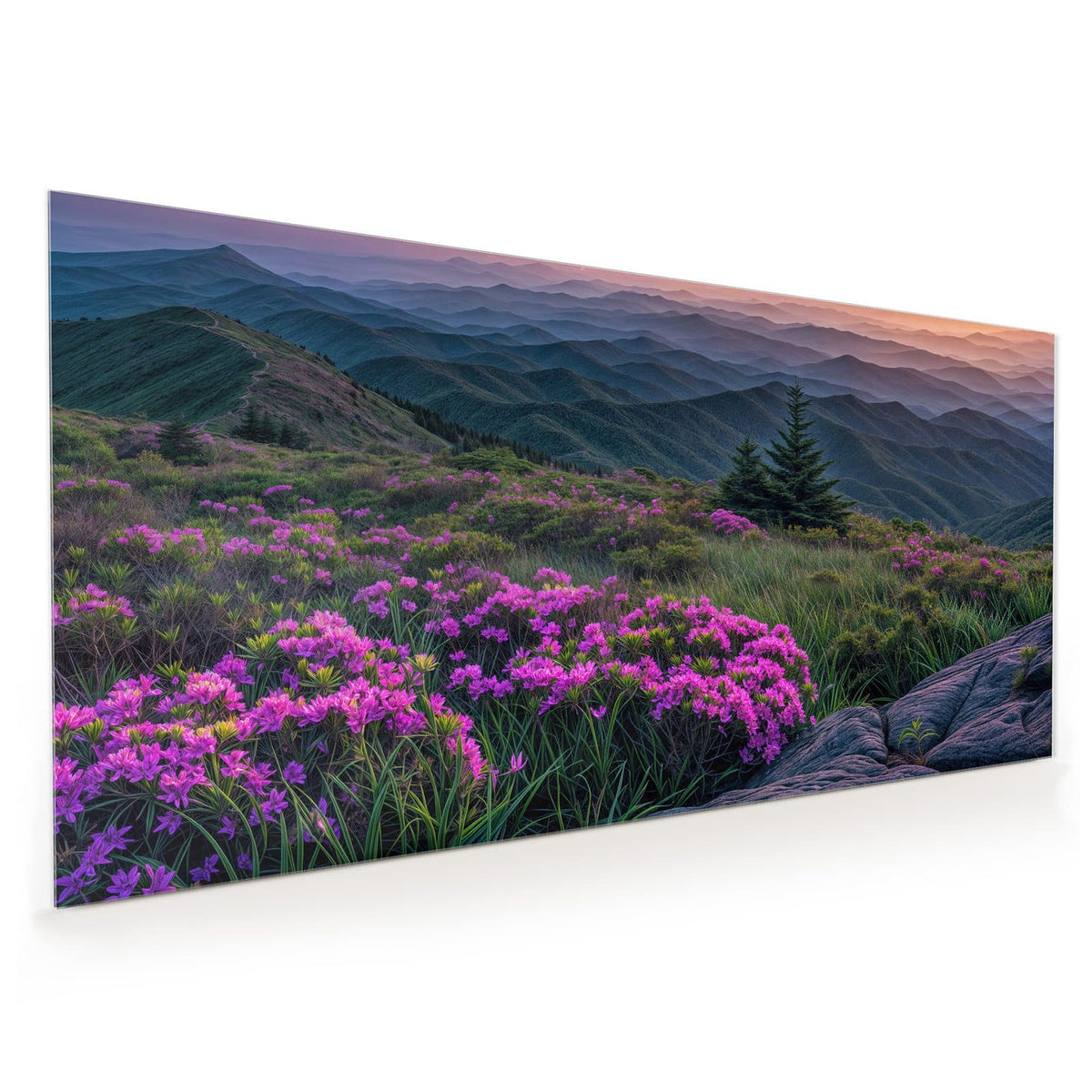 pinke Rhododendronblüten auf einem Bergrücken, dahinter gestaffelte Bergketten im Sonnenuntergang