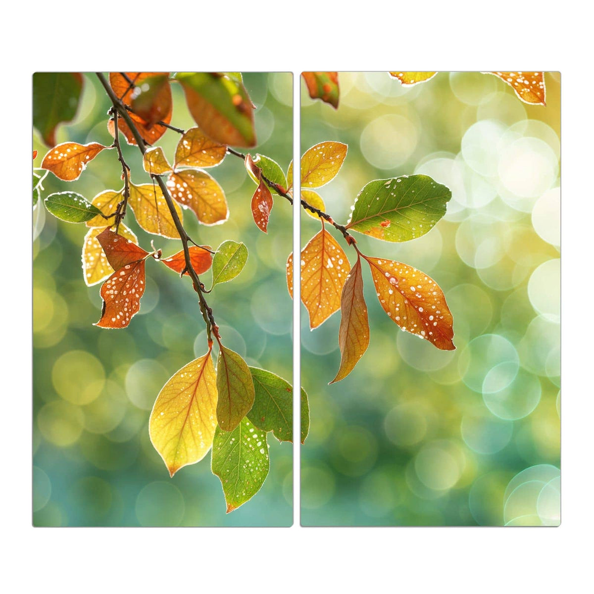 Zweig mit gelb-orangen Herbstblättern voller Tautropfen vor grün-goldenem Bokeh