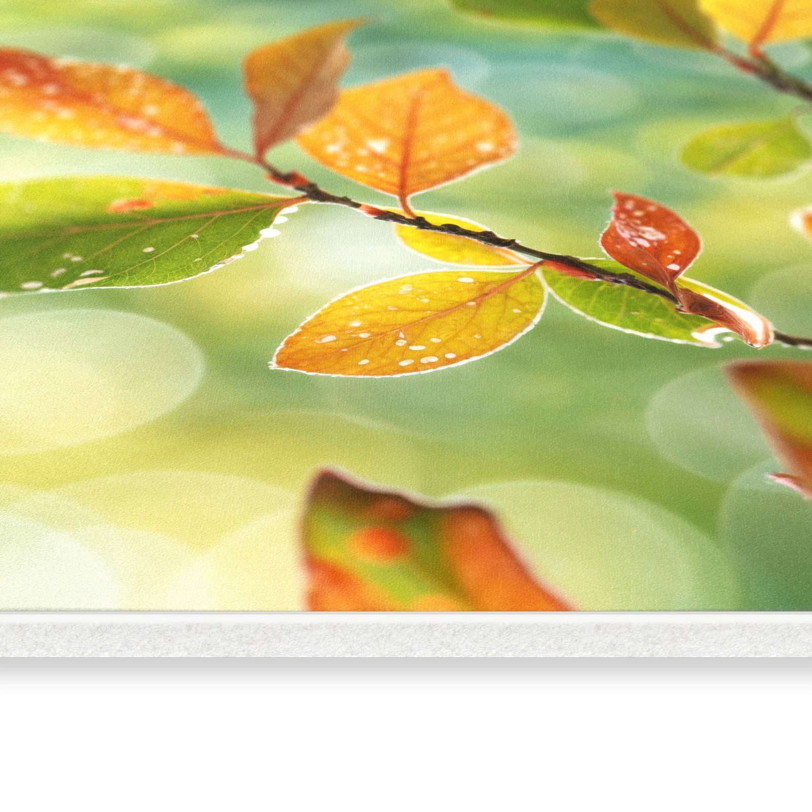 Abriebfester rutschfester Läufer mit Motiv Herbstlaube Lichtspiel in seitlicher Ansicht