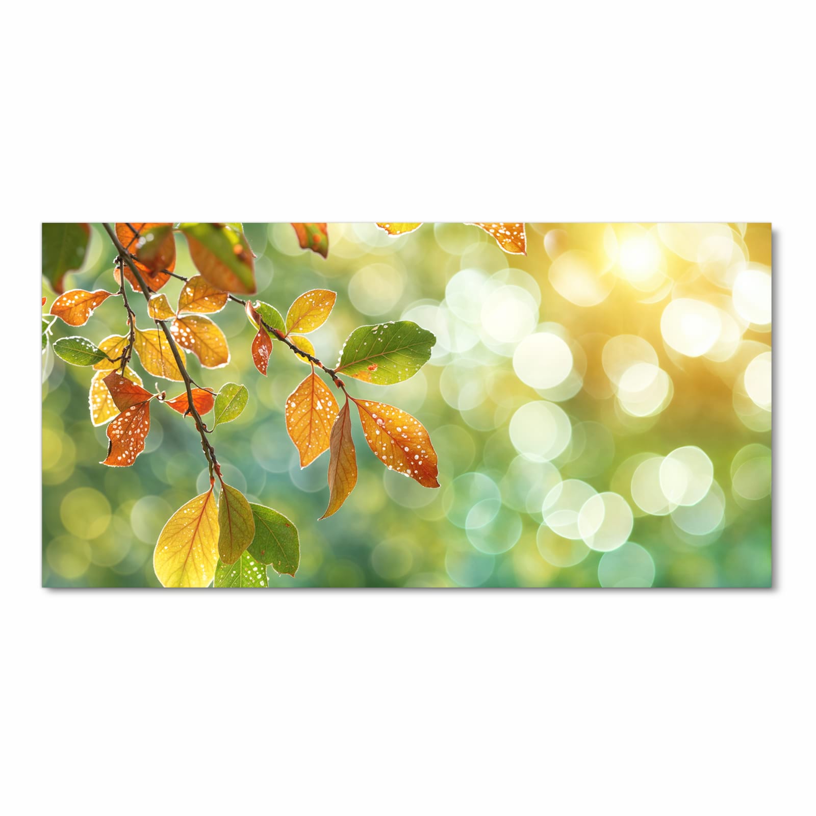 Waschbarer rutschfester Küchenläufer mit Motiv Herbstlaube Lichtspiel in Frontansicht