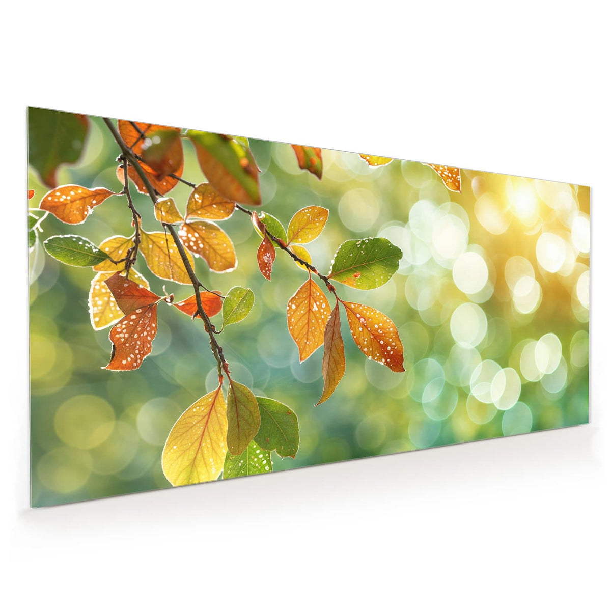 Zweig mit gelb-orangen Herbstblättern voller Tautropfen vor grün-goldenem Bokeh