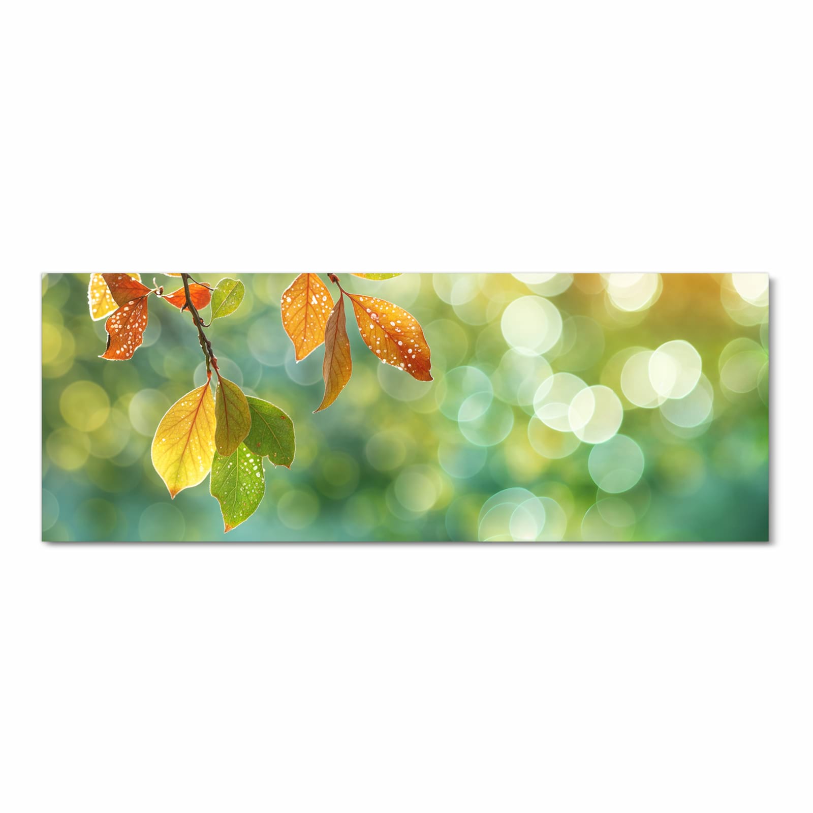 Zeitsparender Küchenteppich mit Motiv Herbstlaube Lichtspiel in Frontansicht