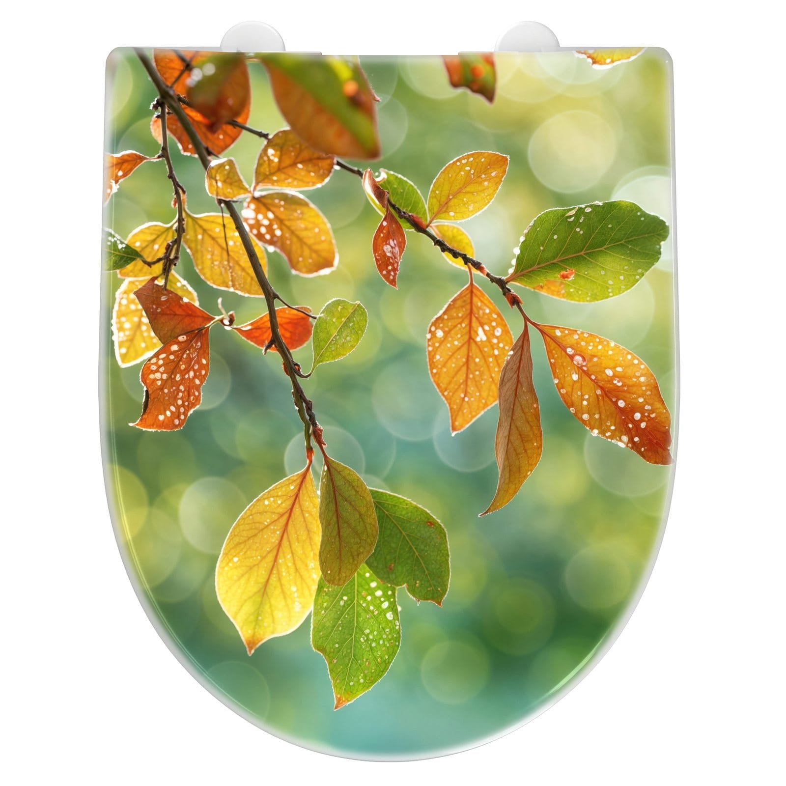 WC-Sitz mit Absenkautomatik Herbstlaube Lichtspiel