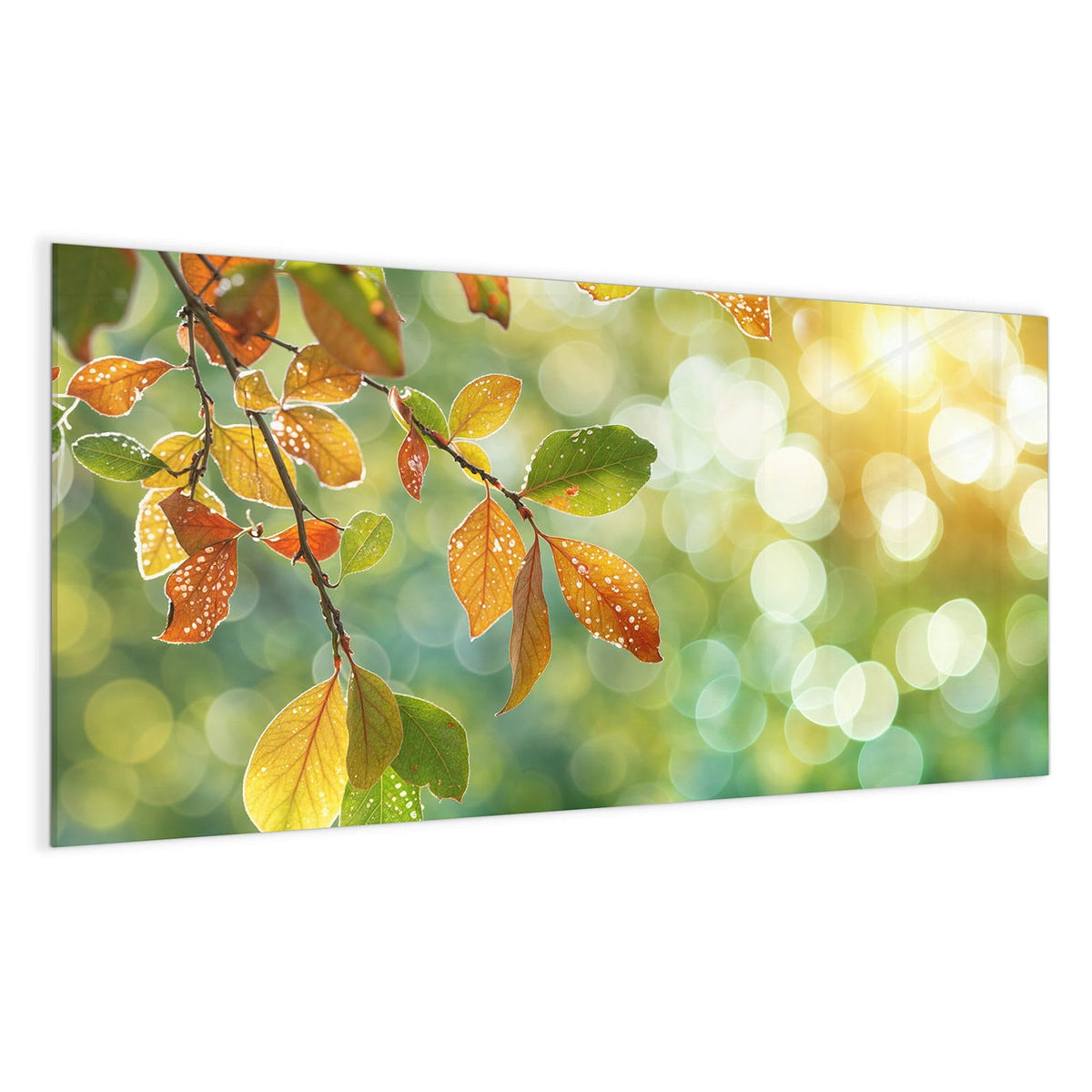 Zweig mit gelb-orangen Herbstblättern voller Tautropfen vor grün-goldenem Bokeh