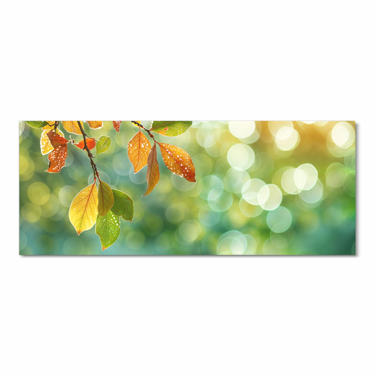 Zweig mit gelb-orangen Herbstblättern voller Tautropfen vor grün-goldenem Bokeh