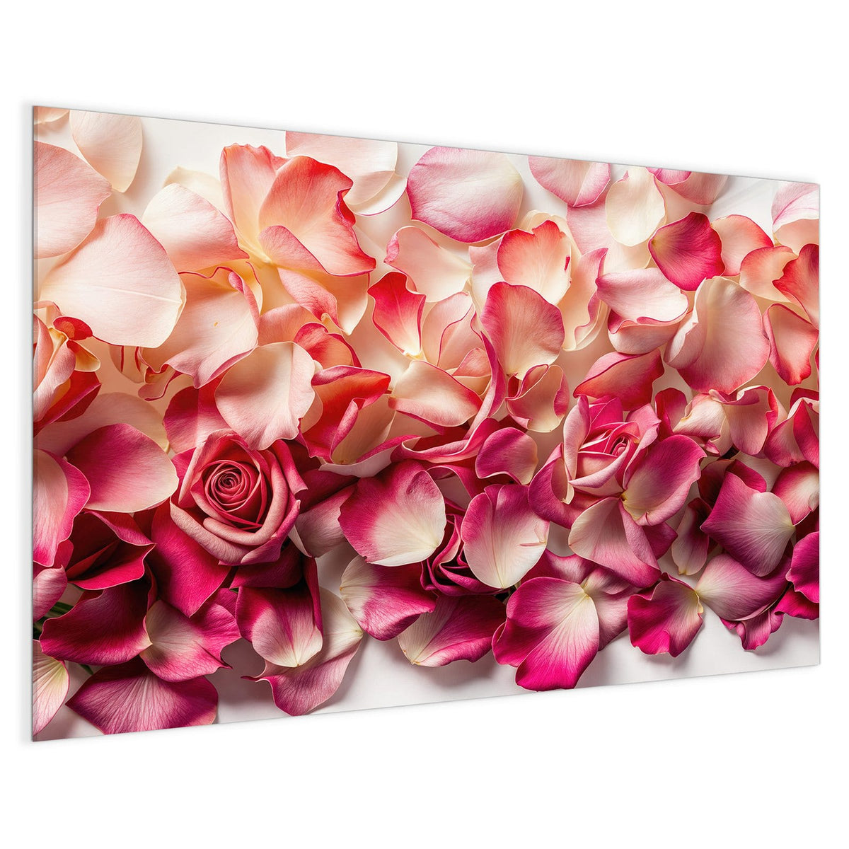 4 mm Glas statt lackiertem Blech – Magnettafel - Rosenblüten in Pink