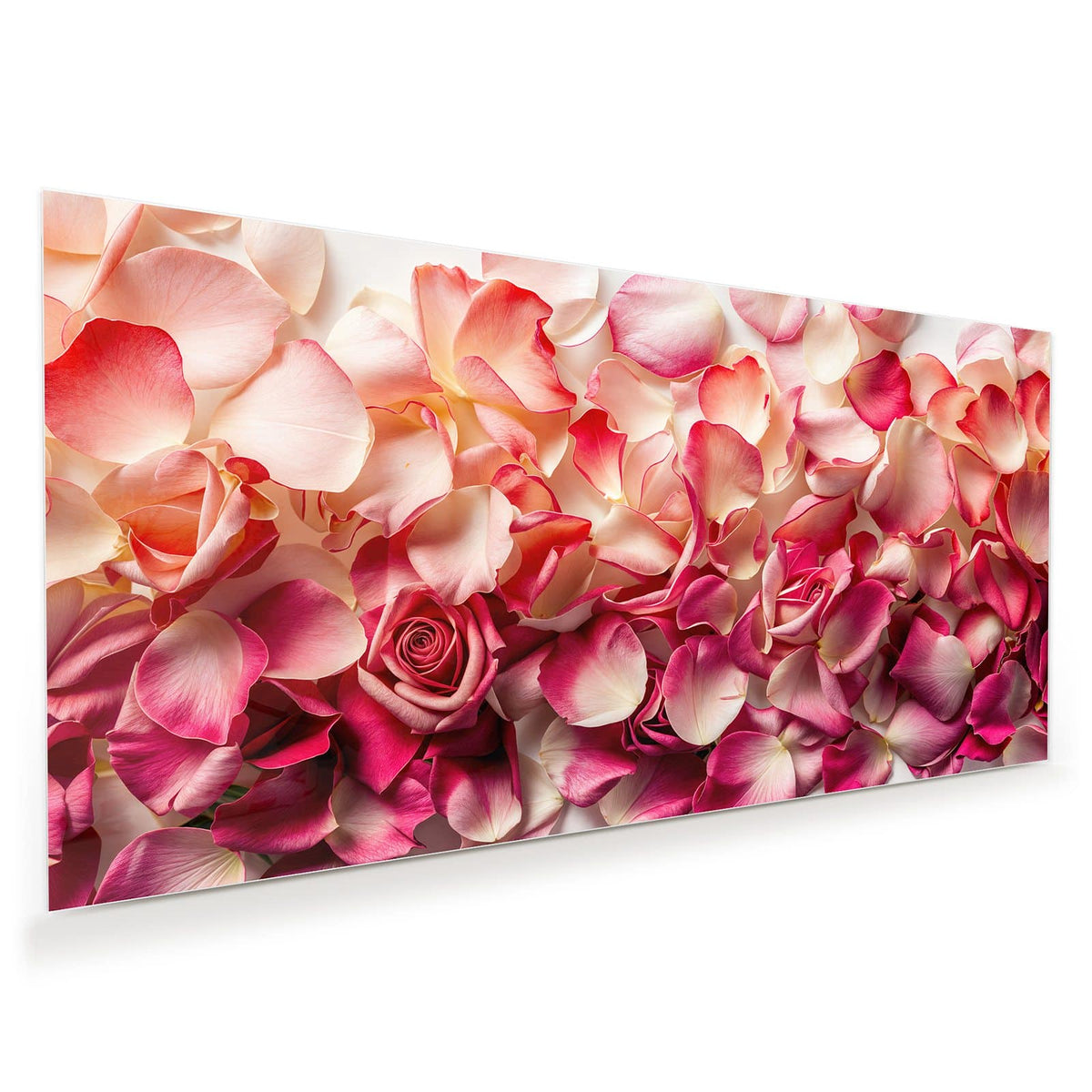 Dicht liegende Rosenblütenblätter in Pink und Creme, eine geöffnete Rose in der Mitte