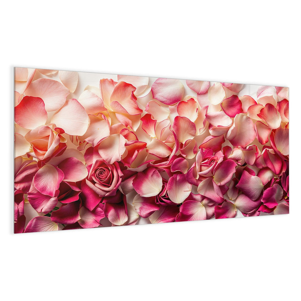 Dicht liegende Rosenblütenblätter in Pink und Creme, eine geöffnete Rose in der Mitte