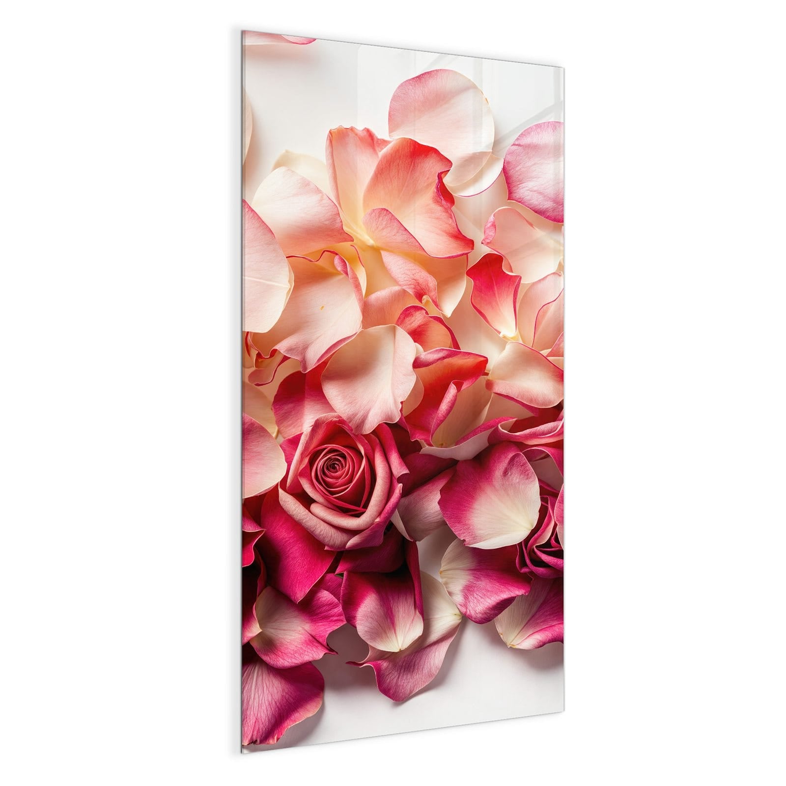 #grösse_50 x 100 cm