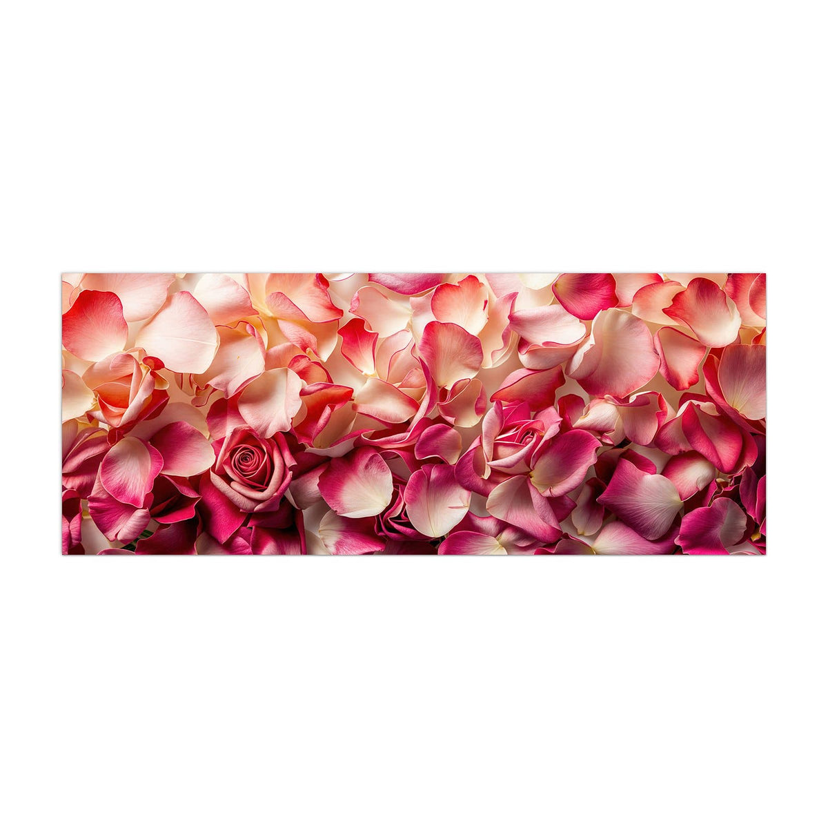 Küchenrückwand aus Glas Rosenblüten in Pink im Hochformat, Motiv bildfüllend von vorn