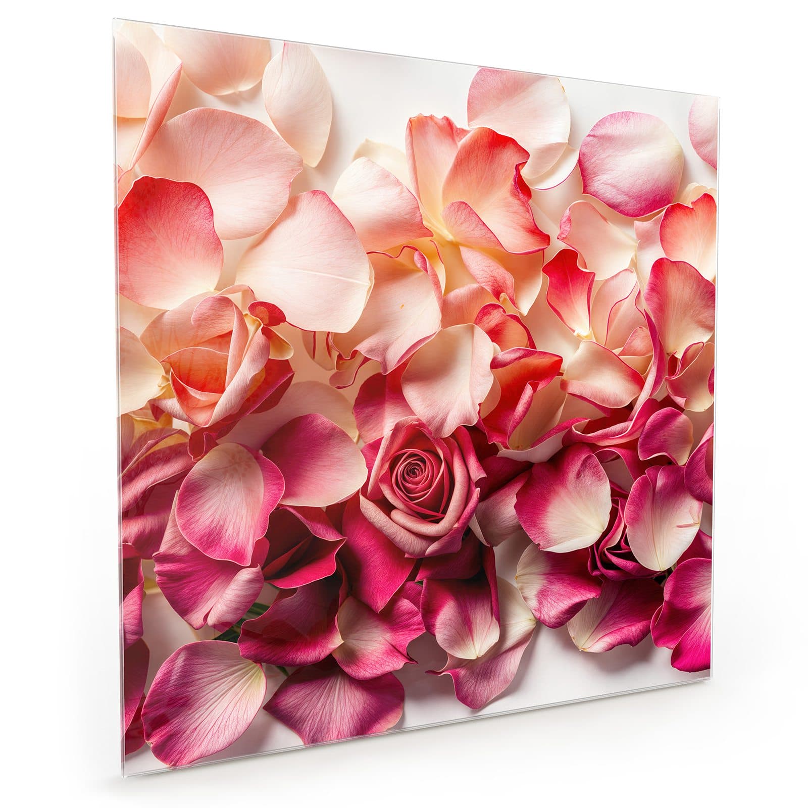 #70 x 70 cm_