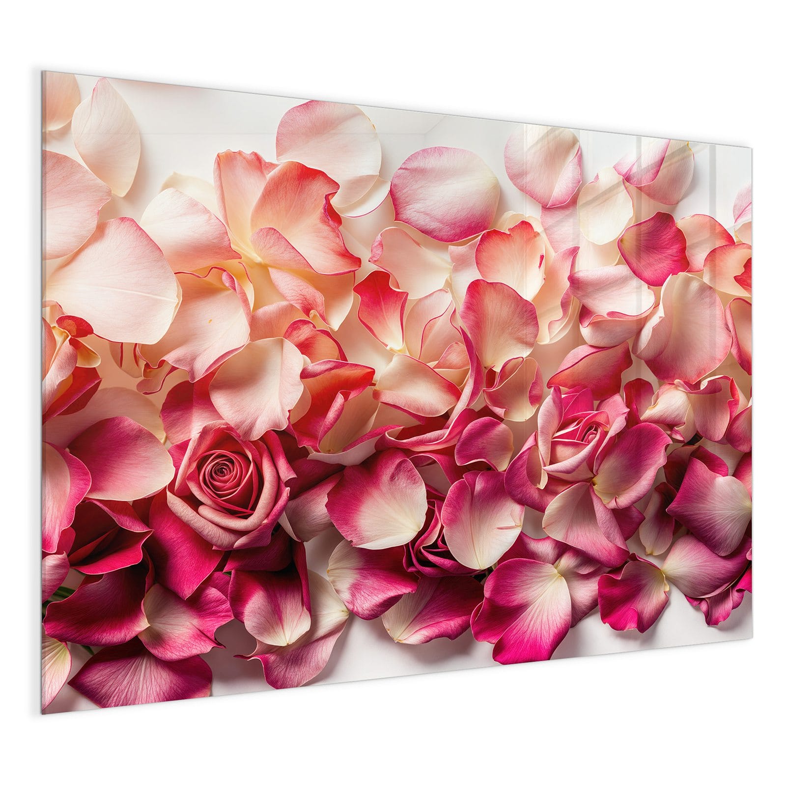 #grösse_120 x 90 cm