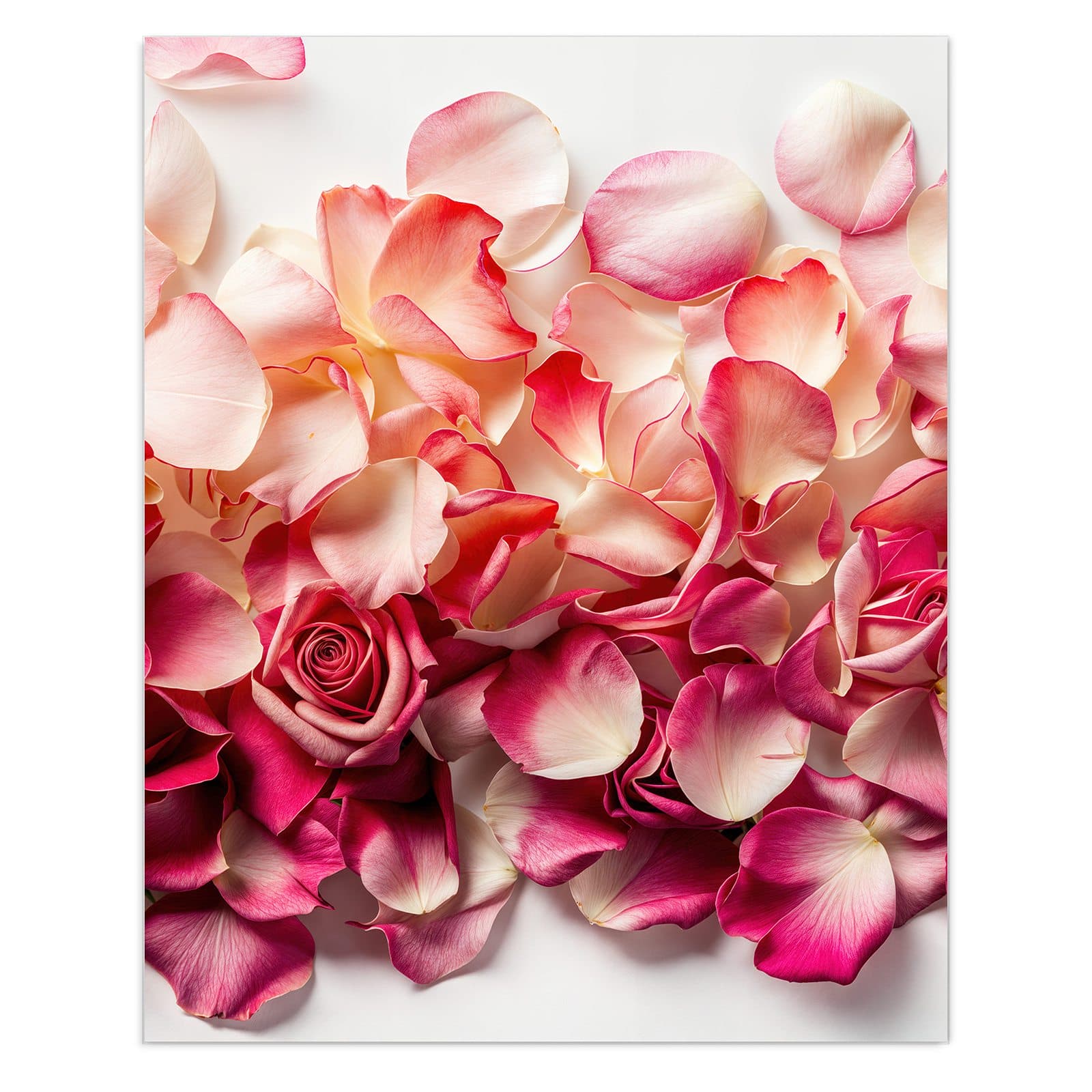 #grösse_60 x 75 cm #grösse_80 x 100 cm