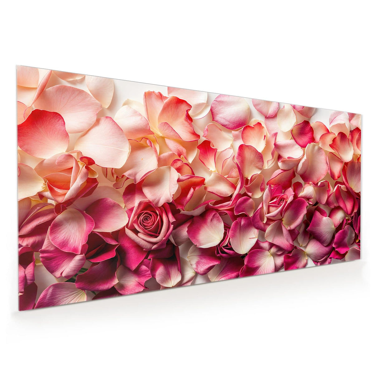 Küchenrückwand aus Glas im Hochformat: Dicht liegende Rosenblütenblätter in Pink und Creme, eine geöffnete Rose in der Mitte