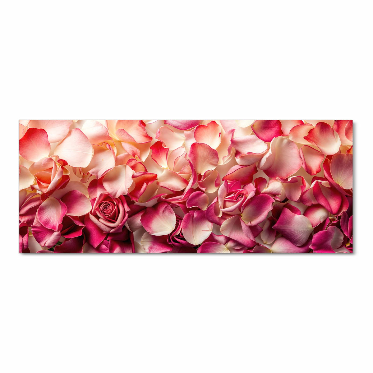 Dicht liegende Rosenblütenblätter in Pink und Creme, eine geöffnete Rose in der Mitte