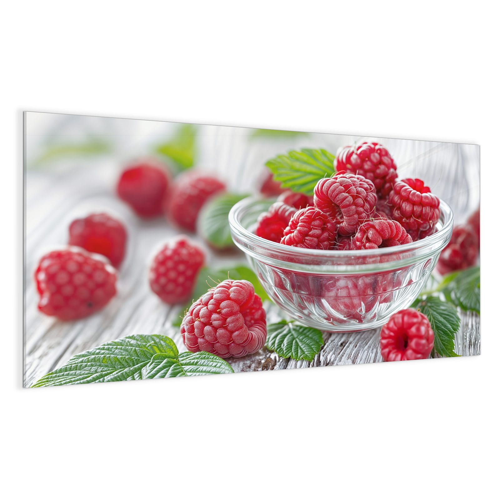 #grösse_100 x 50 cm