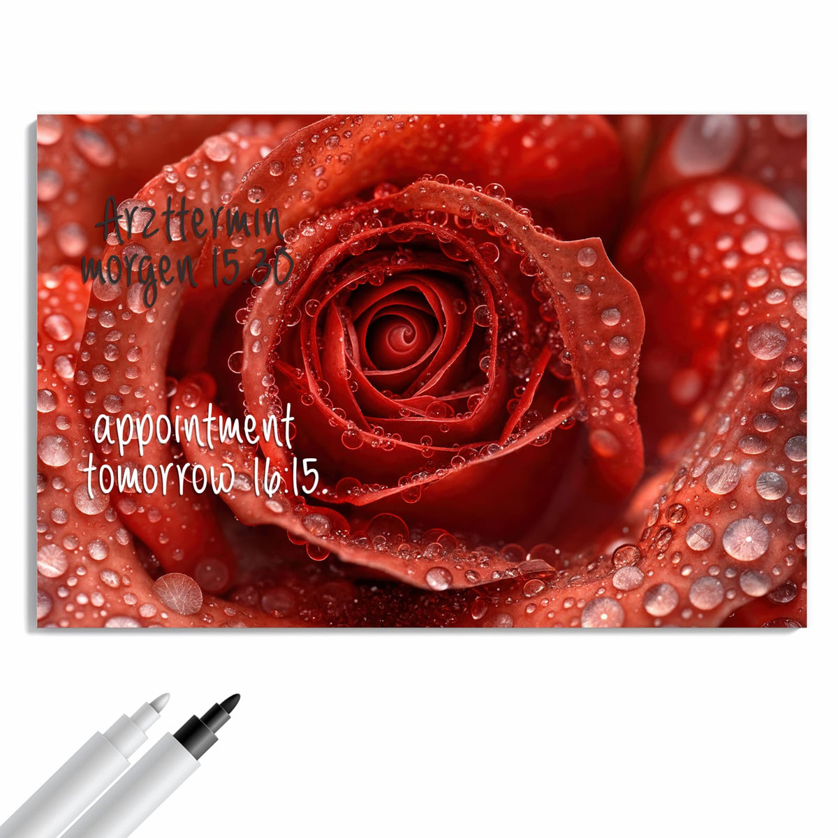 Beschreiben, abwischen, anheften – Metall Magnettafel - Rote Rose mit Tropfen