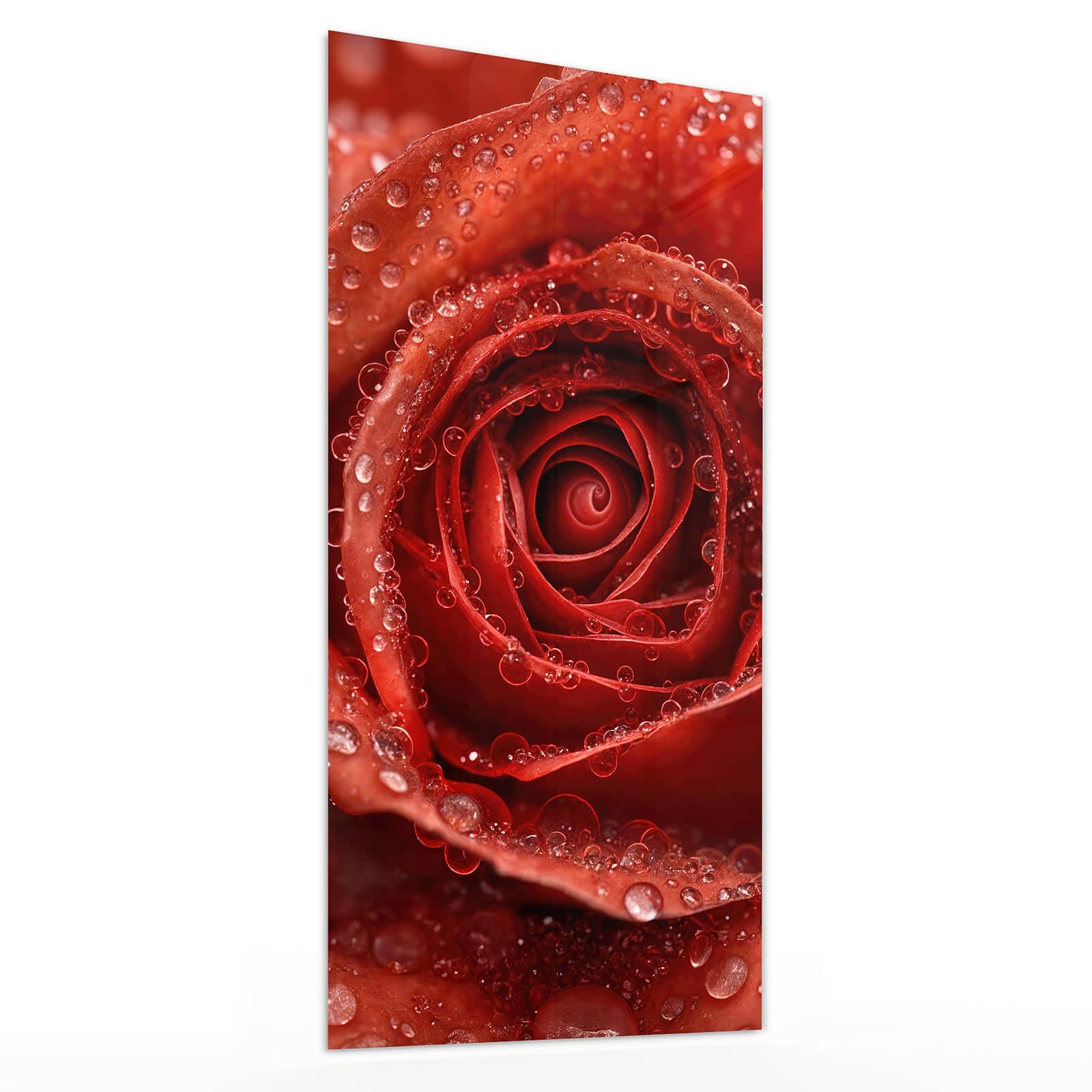 #grösse_30 x 60 cm #grösse_40 x 80 cm #grösse_50 x 100 cm #grösse_55 x 110 cm #grösse_60 x 120 cm