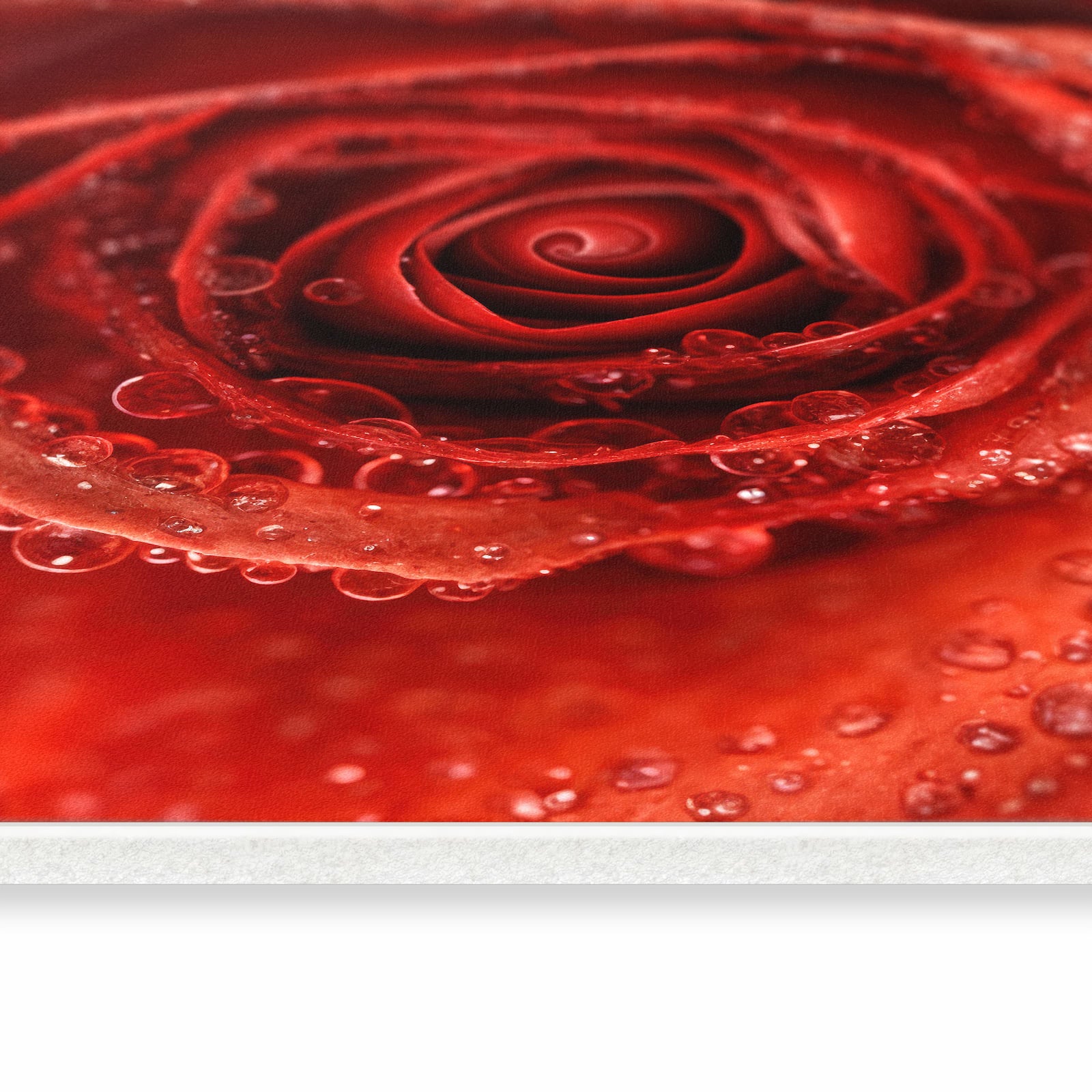 Strapazierfähiger Läufer für die Küche mit Motiv Wassertropfen Rose in seitlicher Ansicht