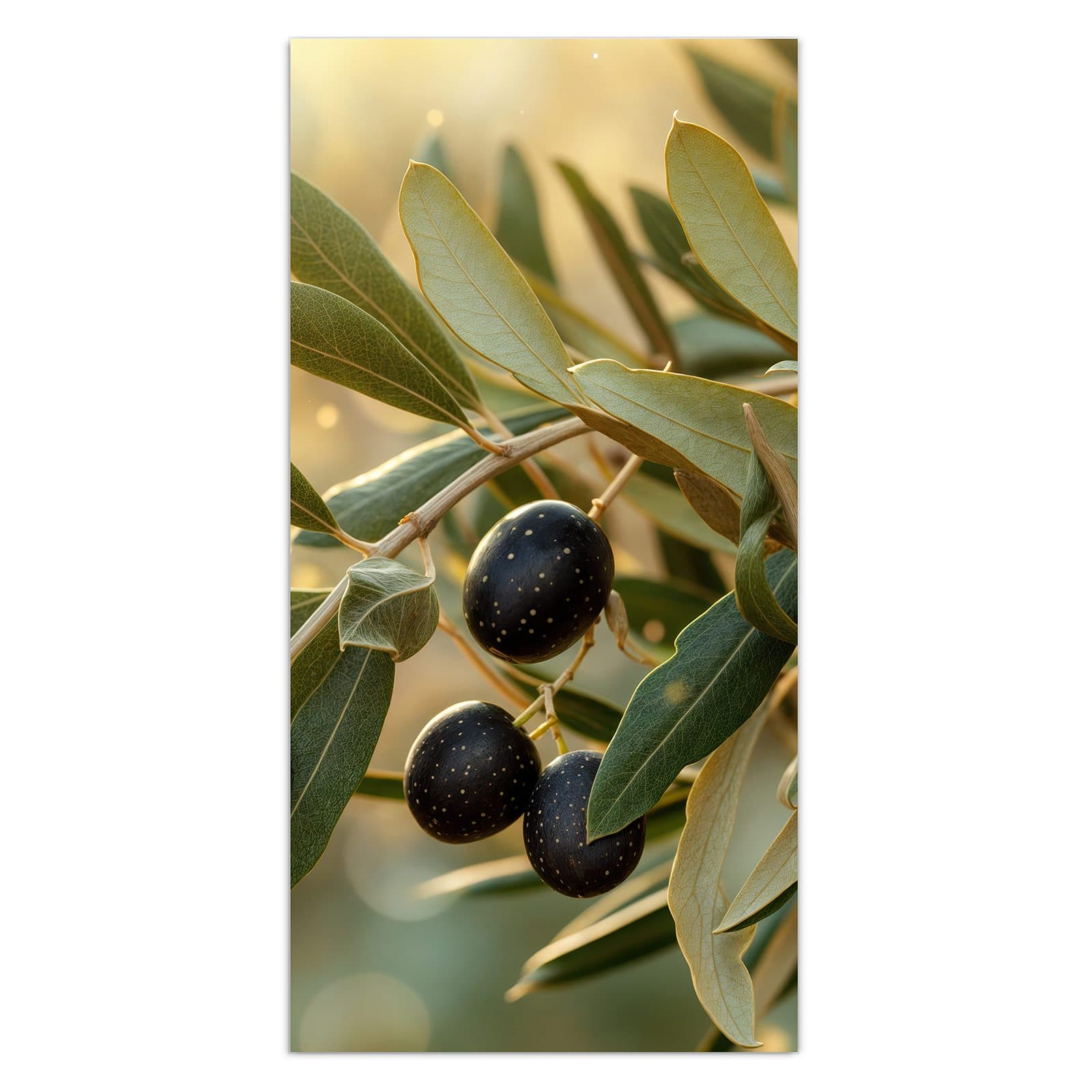 #grösse_30 x 60 cm #grösse_40 x 80 cm #grösse_50 x 100 cm #grösse_55 x 110 cm #grösse_60 x 120 cm