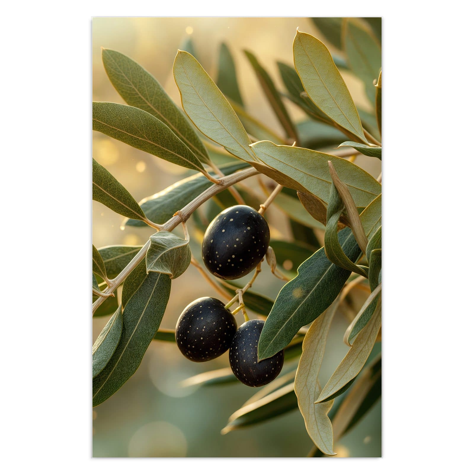 #grösse_40 x 60 cm #grösse_50 x 75 cm #grösse_60 x 90 cm