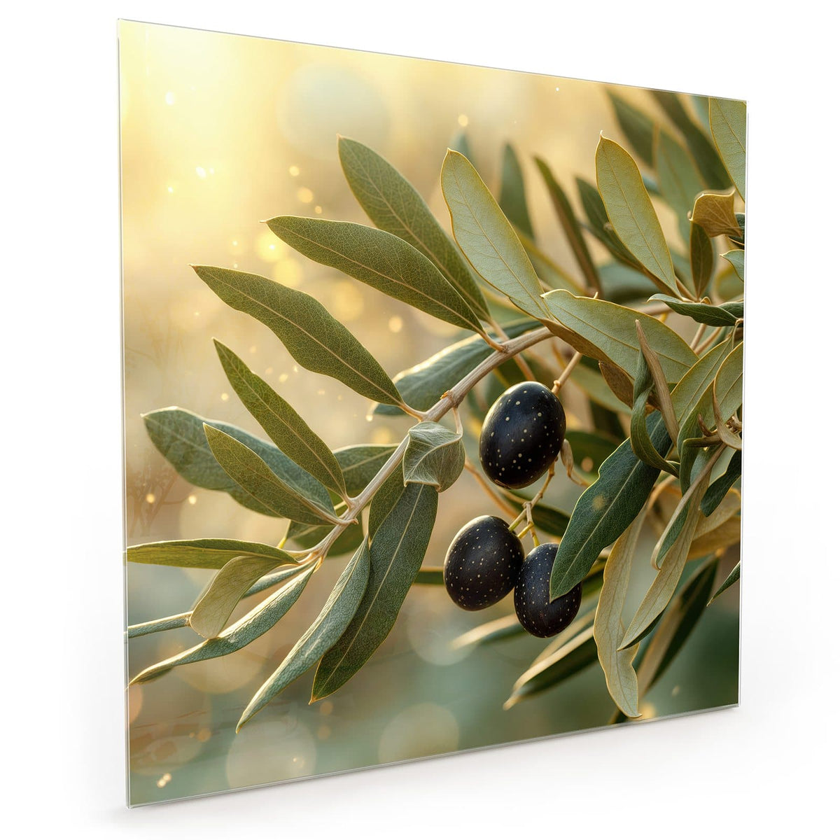 #grösse_40 x 40 cm #grösse_50 x 50 cm #grösse_60 x 60 cm