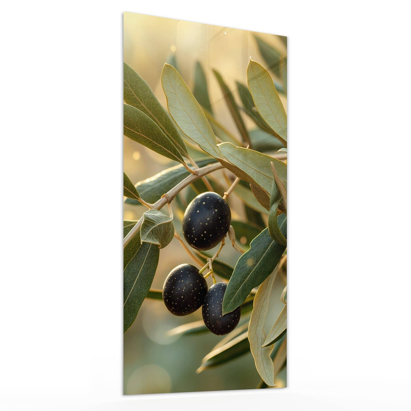 #grösse_30 x 60 cm #grösse_40 x 80 cm #grösse_50 x 100 cm #grösse_55 x 110 cm #grösse_60 x 120 cm