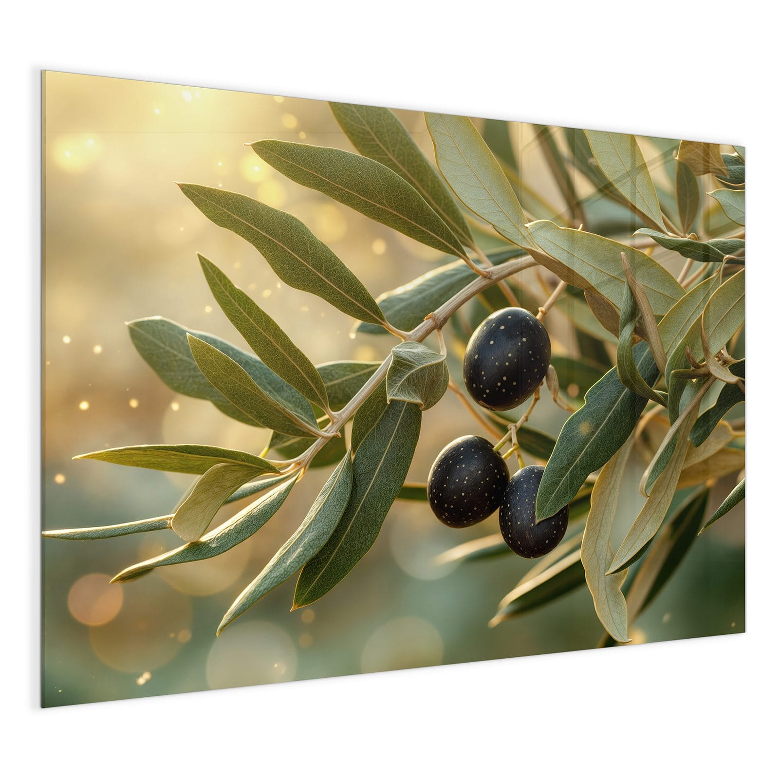 #grösse_120 x 90 cm